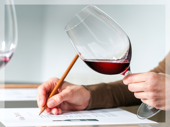 Onsite Wine Tour Guide